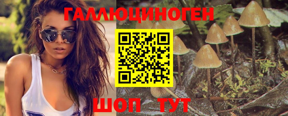 Галлюциногенные грибы ЛСД  Вход с VPN  Татарск  Псилоцибиновые грибы Psilocybine cubensis 